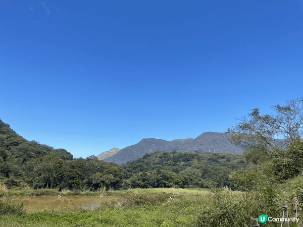 天氣好，去風景宜人既八仙嶺行山，做運動之餘仲可以欣賞美景，真...