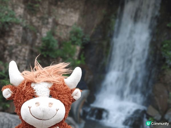 1. 由北角坐船到觀塘時在船上看到的日落，太迷人了