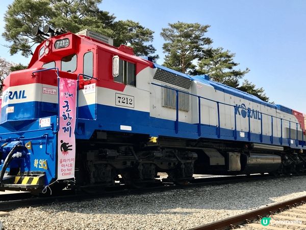 韓國釜山睇櫻花必到地點就係鎮海慶和火車站、每年都有盛放的櫻花...