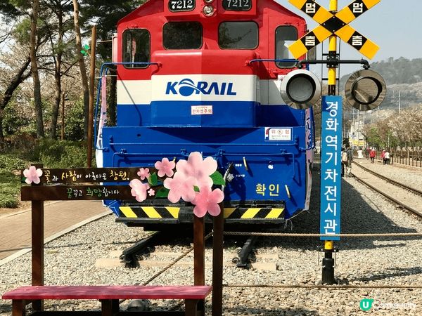 韓國釜山睇櫻花必到地點就係鎮海慶和火車站、每年都有盛放的櫻花...