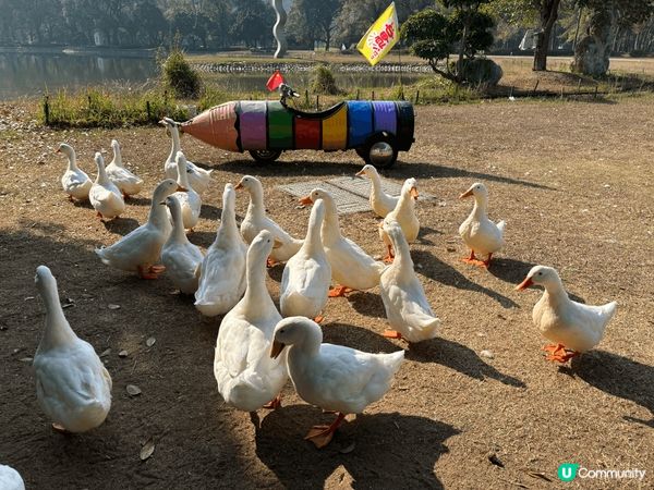 桂林Club Med 超凡體驗！山水景色、岩洞探險、餵鴨子、...