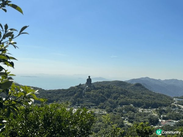 大嶼山心經簡林，天壇大佛寧靜之旅