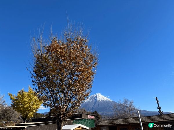 牧場除了可以餵不同的小動物，更有很多打卡位，無論是小朋友或大...