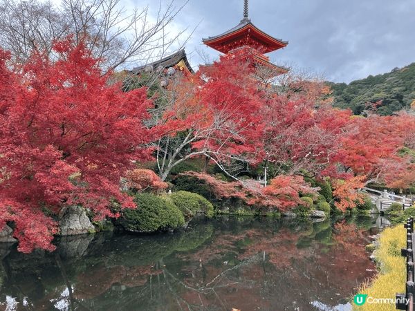 12月係一個好浪漫既月份