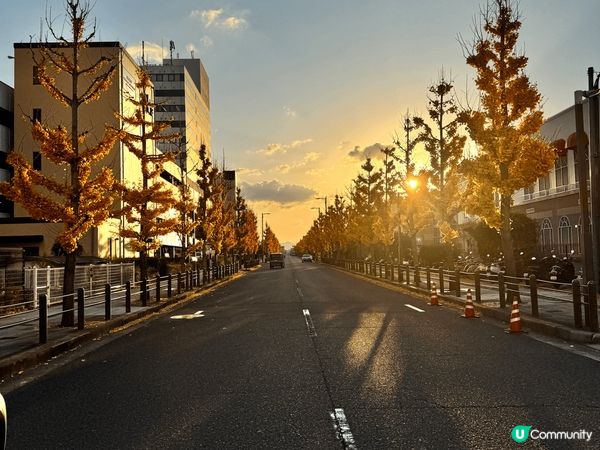 12月係一個好浪漫既月份