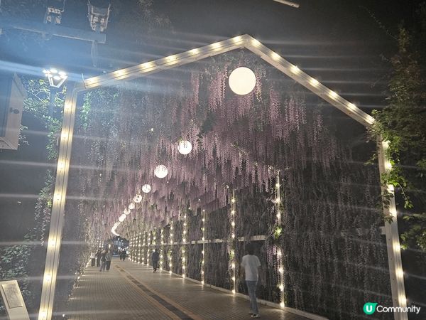 較場尾好像高級阪的長洲，晚上可玩煙花，環境一流
