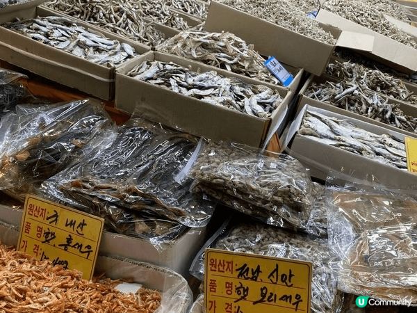 去韓國看風景， 到處都是打卡熱點，去食全洲豆芽湯飯，去中部市...