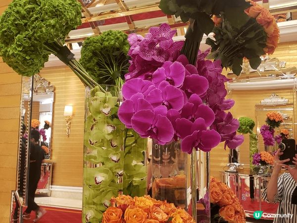 以上地方 係迪士尼樂園陽明山莊 山景 同埋 酒店入面 靚靚景...