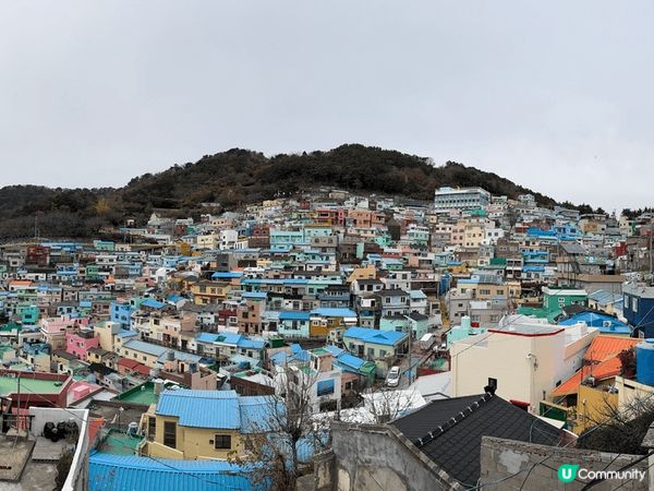 釜山甘川文化村，同小王子打卡。影相許願，充滿愛既一個地方。
