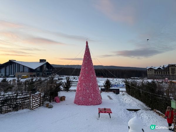 香港去長白山過聖誕攻略2 🎄🎄