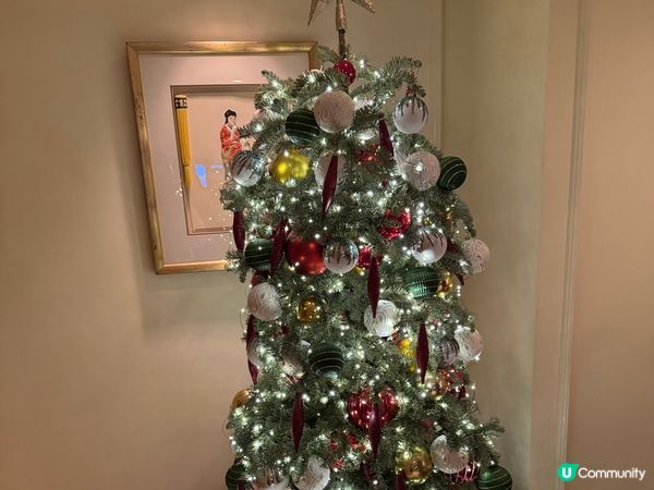 在半島節日列車用餐🚂過一個浪漫的白色聖誕