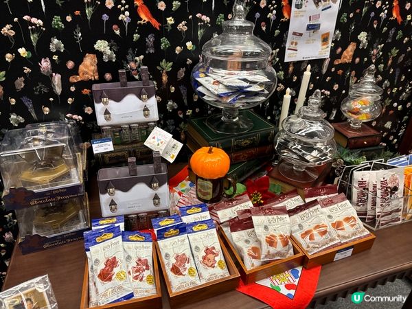 又一城哈利波特期間限定店！🎁 聖誕禮物首選！✨