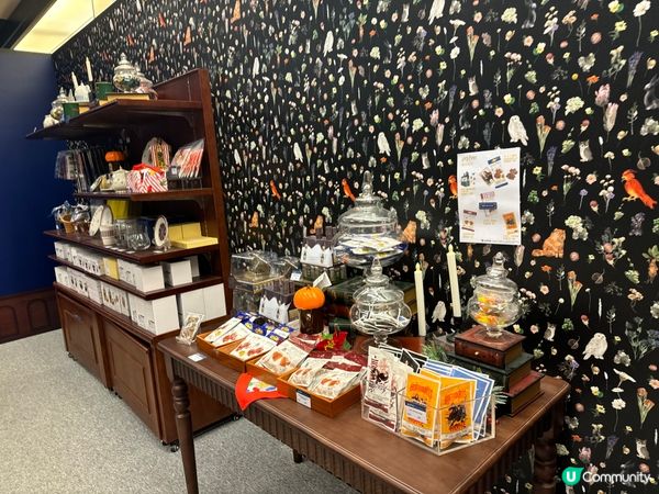 又一城哈利波特期間限定店！🎁 聖誕禮物首選！✨