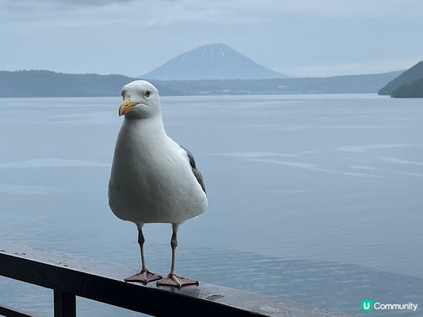 🇯🇵北海道。洞爺溫泉華美酒店～露台可以睇煙花🎆！