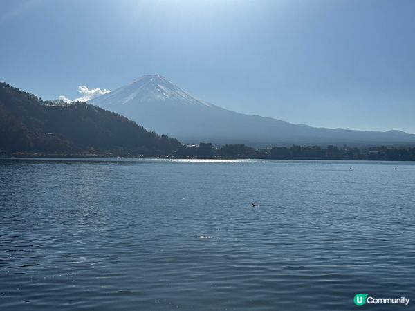 性價比高的東京河口湖住宿