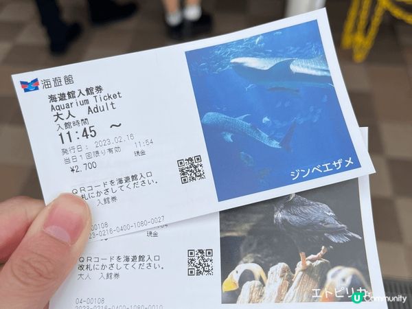 我最推介大阪天保山嘅海遊館!!!本身我超鍾意睇水族館，呢個水...