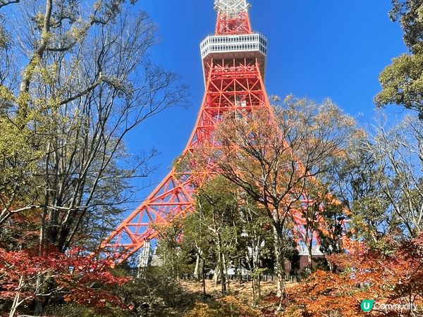 12月5號出發、東京快閃五天「富士山」選左在山中湖住宿、屋前...