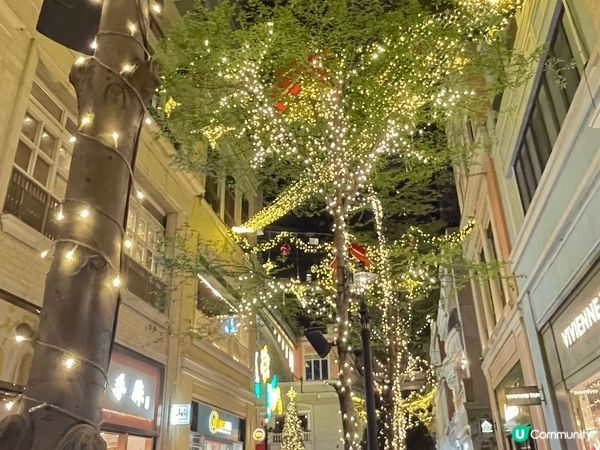 大大棵聖誕樹、巨型聖誕花環、夢幻的雪花圖案與星空，加上濃厚的...