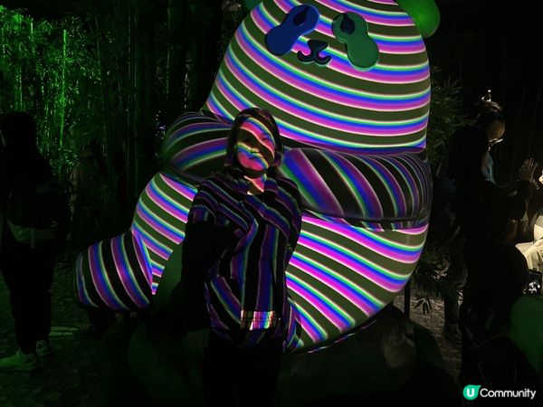 聖誕去咗海洋公園同大熊貓影相，嗰度有勁多大熊貓嘅擺設，仲有燈...