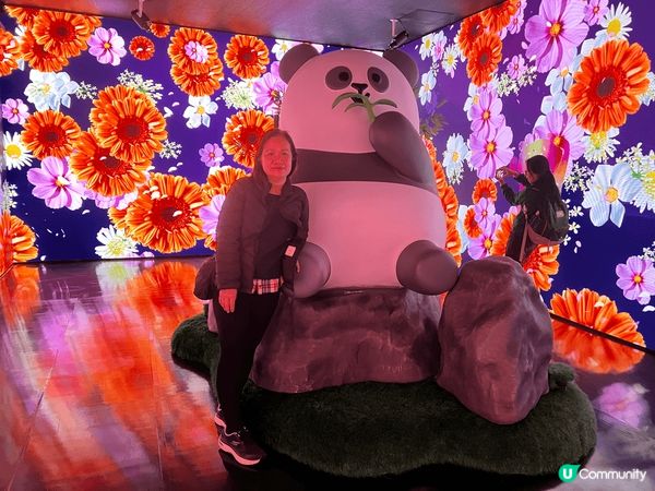 聖誕去咗海洋公園同大熊貓影相，嗰度有勁多大熊貓嘅擺設，仲有燈...