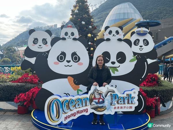 聖誕去咗海洋公園同大熊貓影相，嗰度有勁多大熊貓嘅擺設，仲有燈...