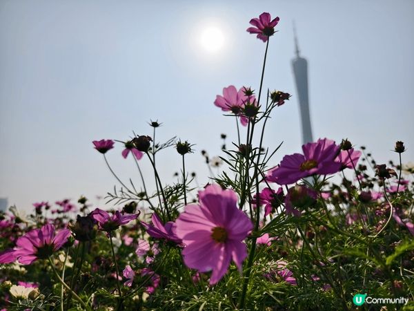 廣州花城廣場地方空曠空氣清新，其實係一個小朋友放電的好地方。...