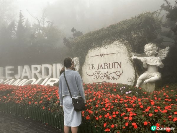 聖誕去咗越南玩，越南啲聖誕樹超靚，同埋去咗巴拿山，巴黎山幾大...