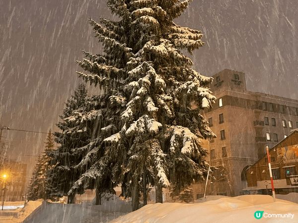 我最喜歡北海道冬天這個地方，周圍都白濛濛一片，每個地方也很美...