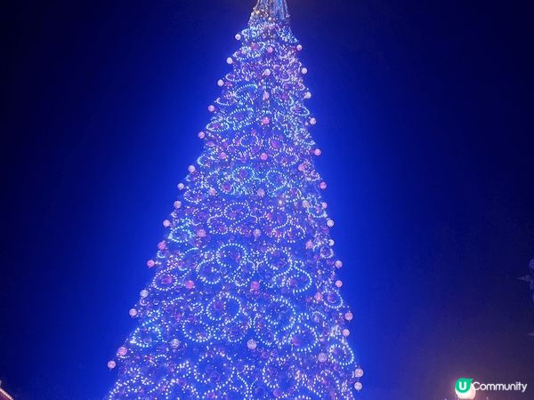 聖誕去迪士尼最啱。有聖誕樹 有魔雪奇緣。有城堡打咭 大人細路...