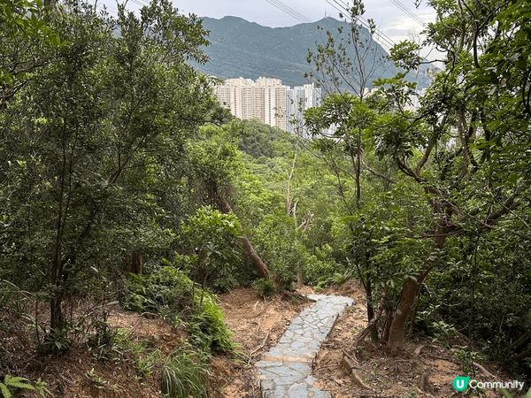 香港很多山，充滿自然風光，馬屎洲獅子山和赤柱的景色很美麗。