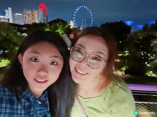 新加坡距離香港比較近，聖誕節前後氣候適宜，適合一家人一起旅行...