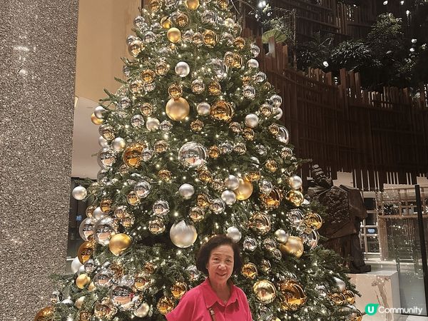 新加坡距離香港比較近，聖誕節前後氣候適宜，適合一家人一起旅行...