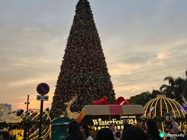 西九大聖誕樹，很有聖誕氣氛，還有聖誕市集，M + , 非常適...