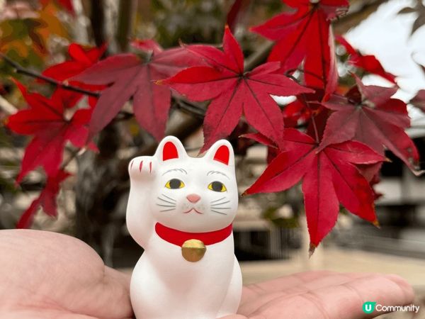 位於日本東京的豪德寺，充滿大大小小的招財貓是打卡必到景點！
