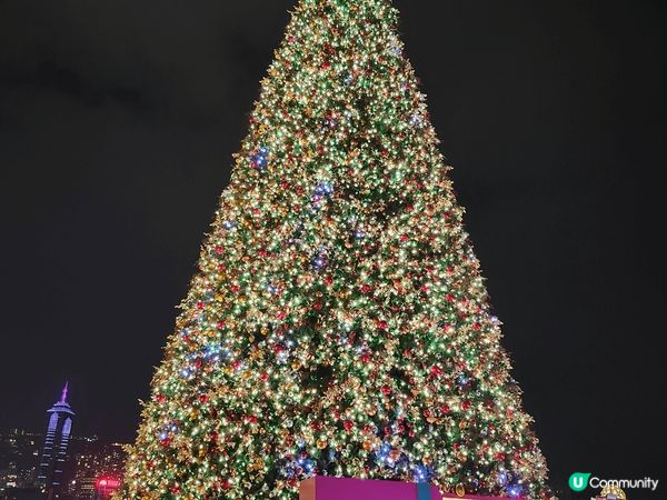 西九文化區的聖誕小鎮&巨型聖誕樹今年吸引咗好多人去睇！