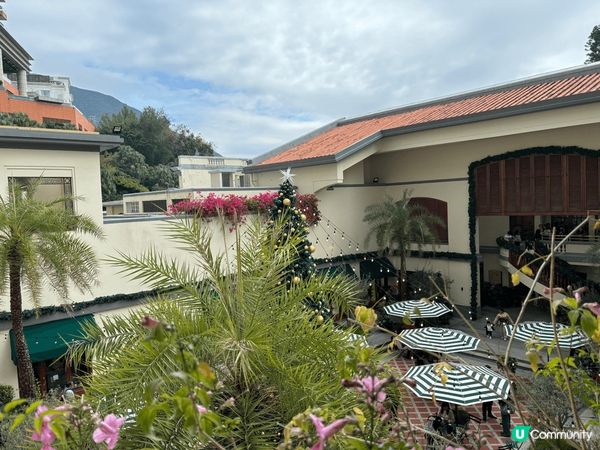 淺水灣的影灣園是一個十分值得去的打卡地方，特別是聖誕期間，有...