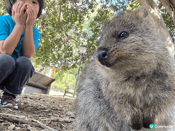 西澳自駕遊真係好正，令人印象深刻，必到粉紅湖Hutt Lag...
