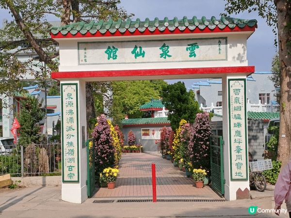 雲泉仙館都會舉辦菊花展，吸引不少人士前往觀賞。仙館最聞名之處...