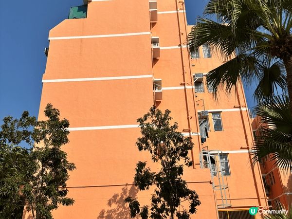 第一次去到沙頭角禁區參觀，果度風景優美，環境寧靜，連地上垃圾...