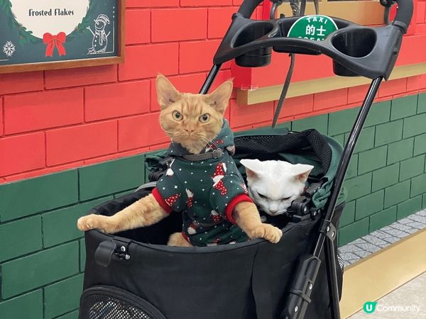 第一張係ifc 中場 Santa house外的打卡位，聖誕...