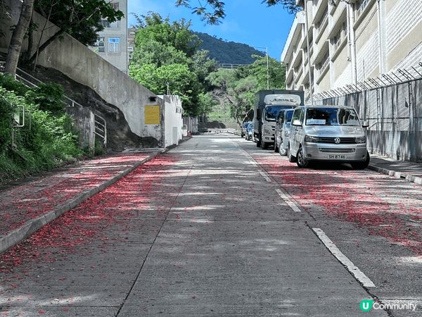 #我想去aia嘉年華 #遠離敏感肌 #goodhairday...