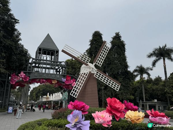 深圳荷蘭花卉小鎮是很值得遊覽的地方，這裏環境優美，仲有好多花...