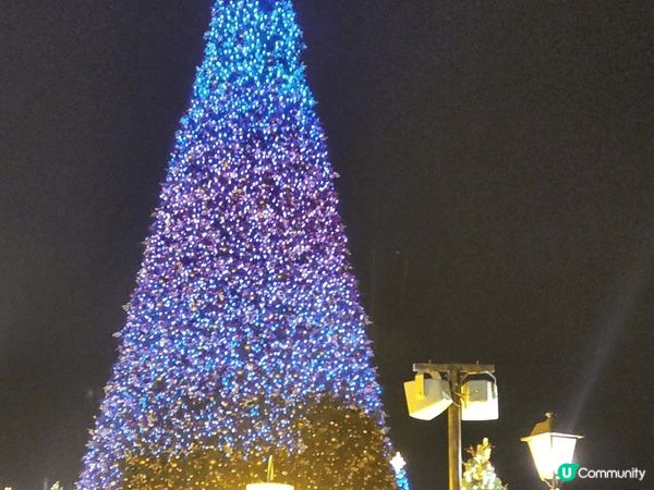 今年必去打卡熱點