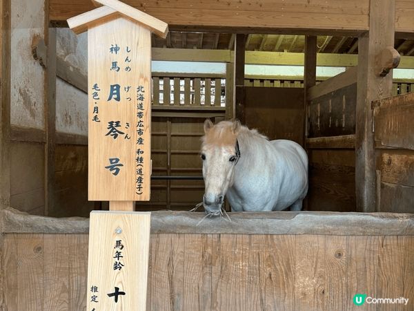 返日本鄉下,厭倦了東京大阪城市旅遊體驗,可以考慮去一趟高松之...