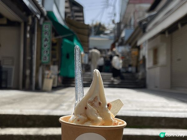 返日本鄉下,厭倦了東京大阪城市旅遊體驗,可以考慮去一趟高松之...