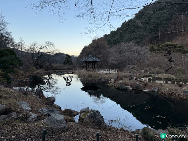 晨靜樹木園位於京畿道加平郡,五光十色的星光庭園展,非常有意境...