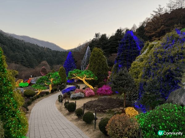 晨靜樹木園位於京畿道加平郡,五光十色的星光庭園展,非常有意境...