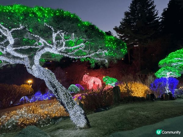 晨靜樹木園位於京畿道加平郡,五光十色的星光庭園展,非常有意境...