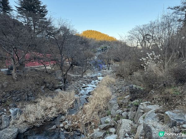 晨靜樹木園位於京畿道加平郡,五光十色的星光庭園展,非常有意境...