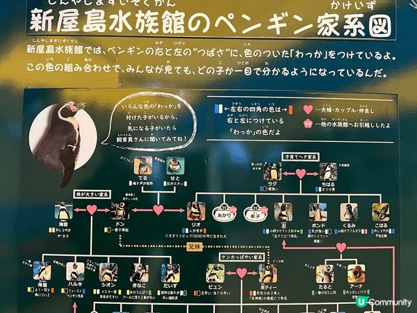 今次去了日本鳥取，係去屋島時，發現有間新屋島水族館，呢間新屋...